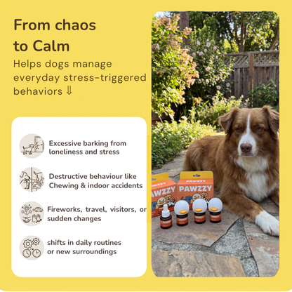 Pawzzy Dogs Calming Diffuser Kit