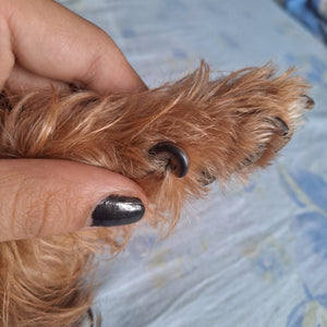 Debrah C. review image